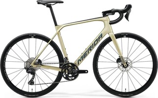 Merida scultura Endurance 5000 GR matna sampanske
